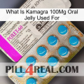 What Is Kamagra 100Mg Oral Jelly Used For new07